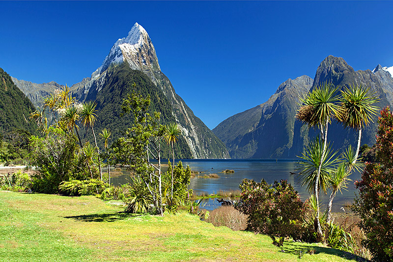 New Zealand Travel