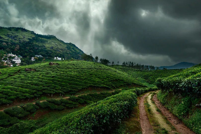 monsoon travel packages