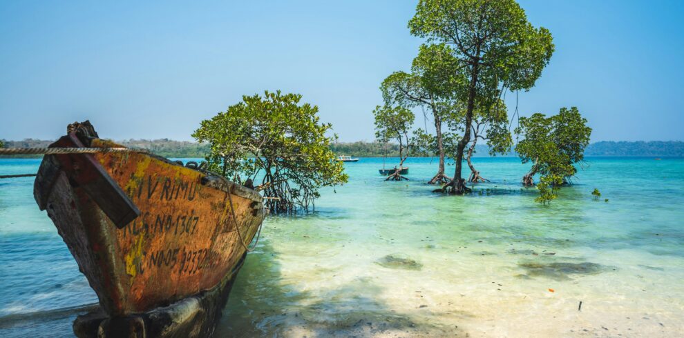 Andaman holiday tour