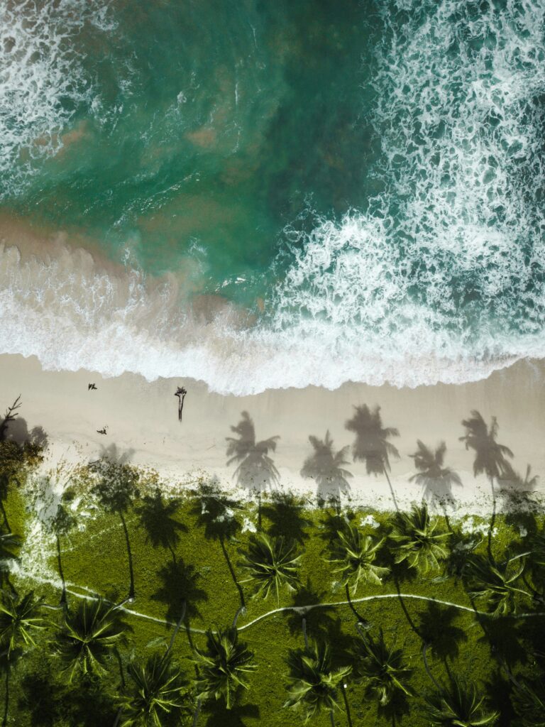 Andaman holiday tour