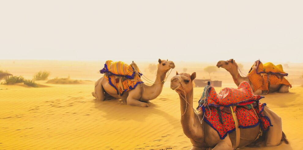 Jaisalmer