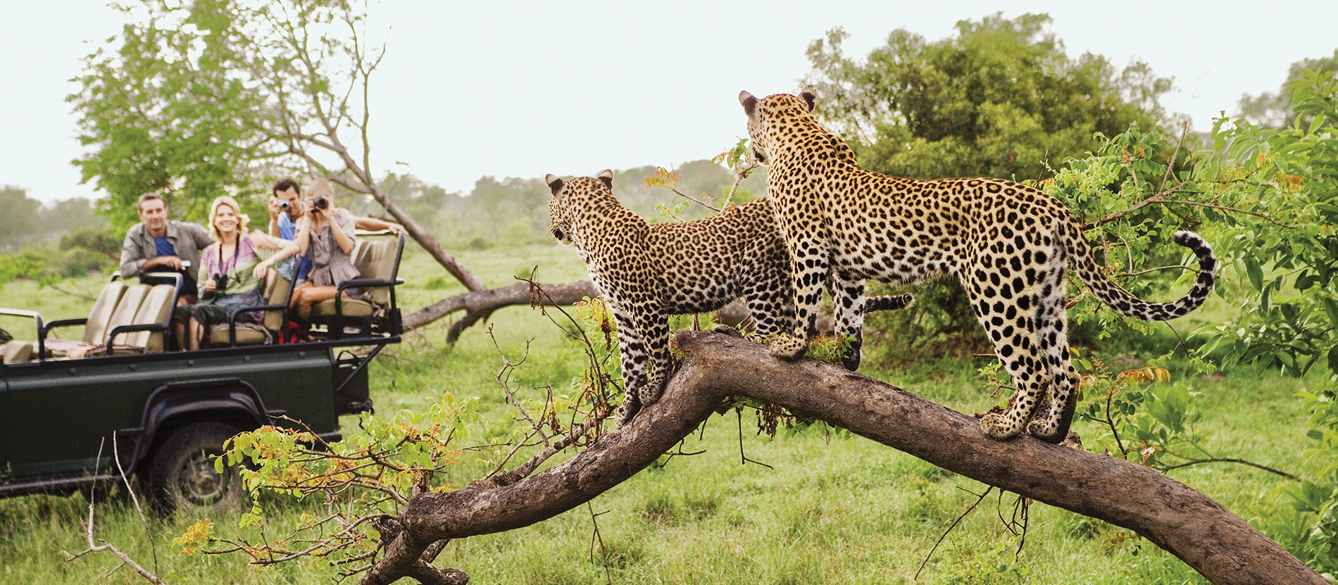 Do’s & Don’ts for Wildlife Safaris and Adventure in South Africa 2026