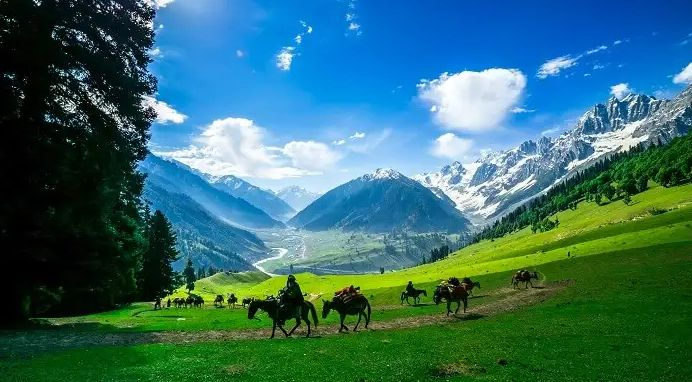 Kashmir Tour Packages