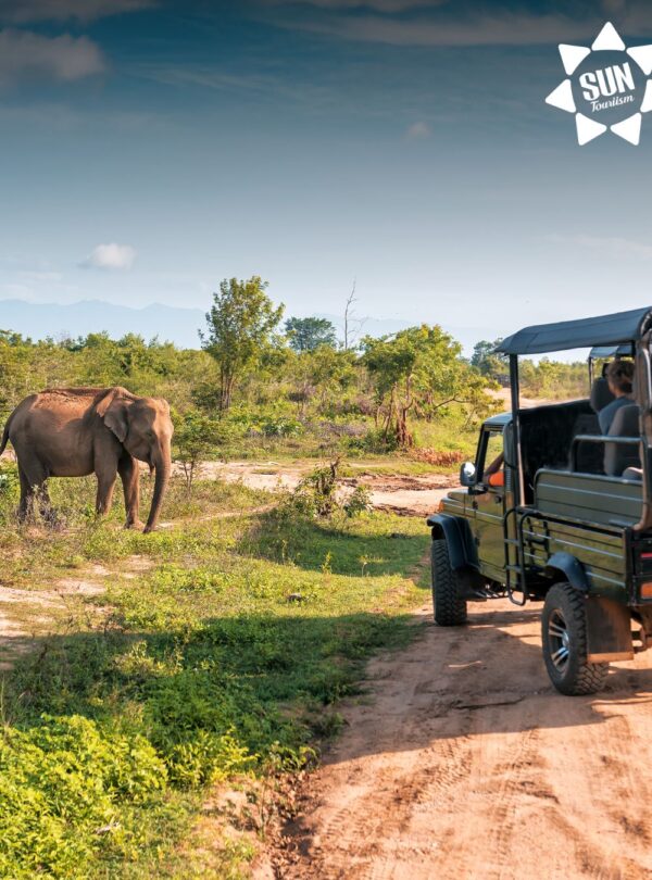 Adventure travelers experiencing outdoor activities with Sun Tourism